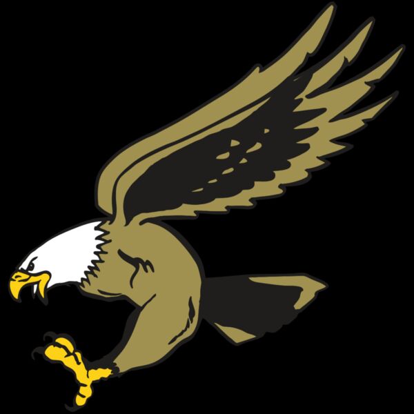 AR EAGLE 23 RC Thumbnail