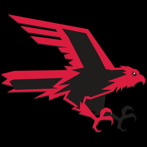 AR9 FALCON 02 RQC Thumbnail