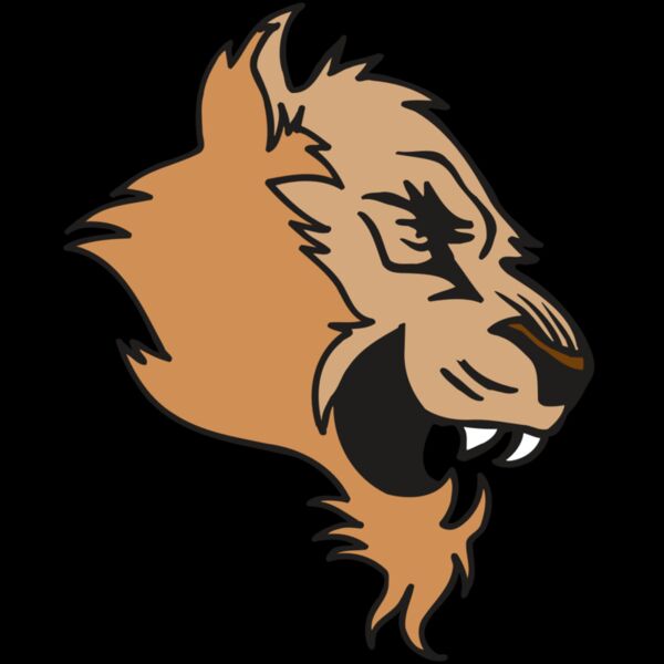 AR5 COUGAR 15 RQC Thumbnail