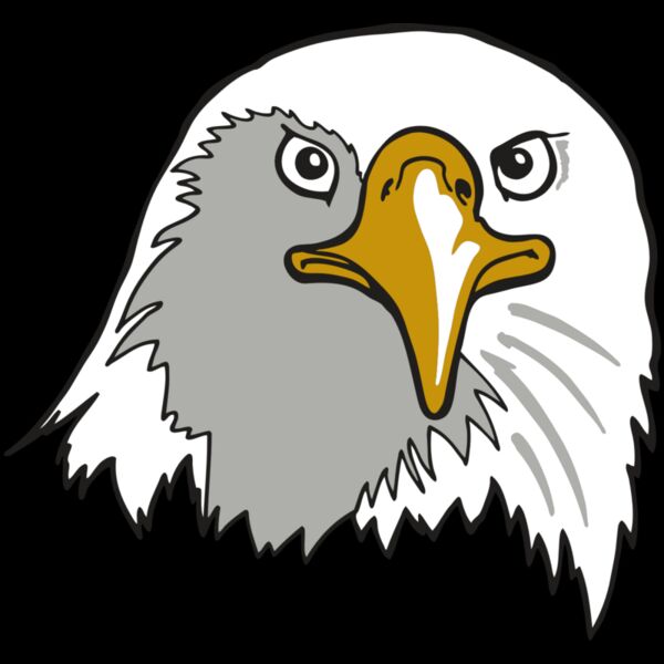 AR EAGLE 39 RC Thumbnail