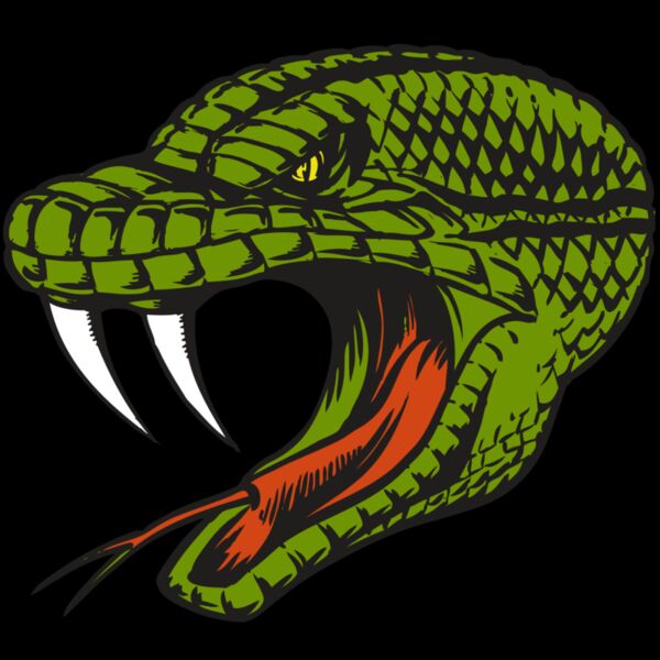 BAW SNAKE 14 RC Thumbnail