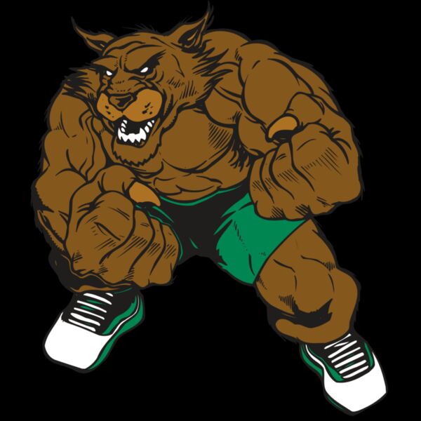 AR WILDCAT 45 RC Thumbnail