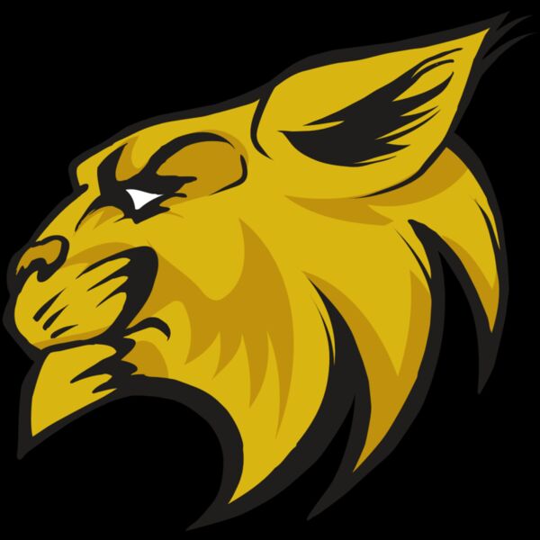 AR30 WILDCAT 02 RQC Thumbnail