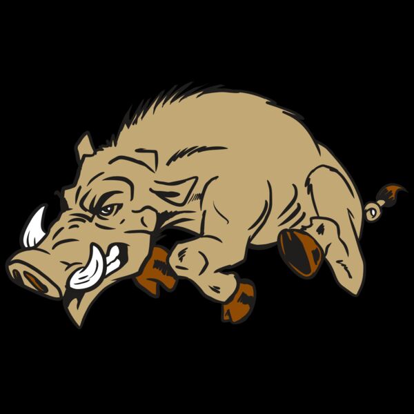 AR20 RAZORBACK 37 RQC Thumbnail