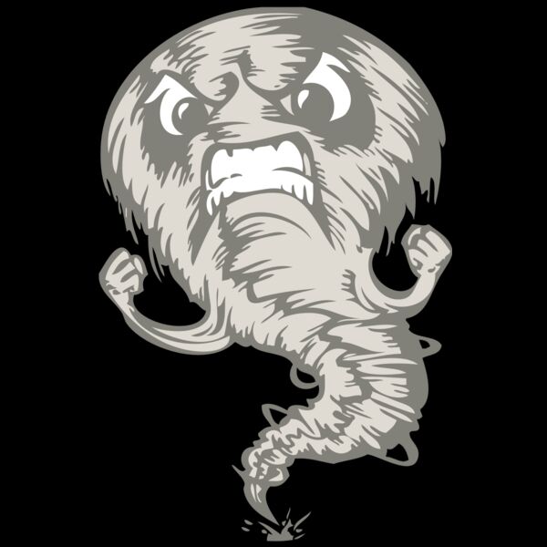 BAW STORM 07 RC Thumbnail