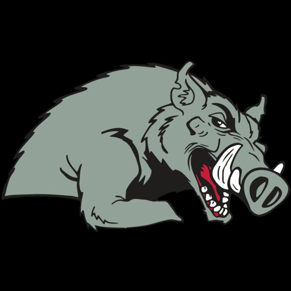 AR RAZORBACK 14 RC Thumbnail