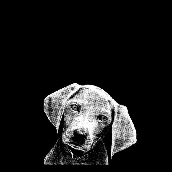 04  be person dog things you are Thumbnail