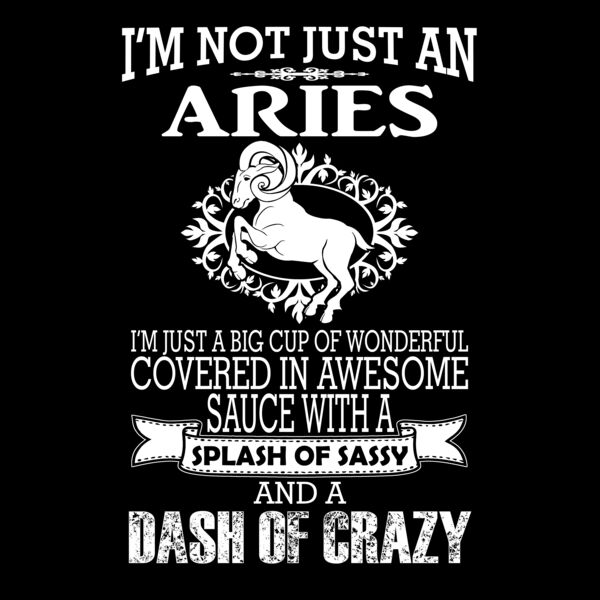 06 not just an aries copy Thumbnail