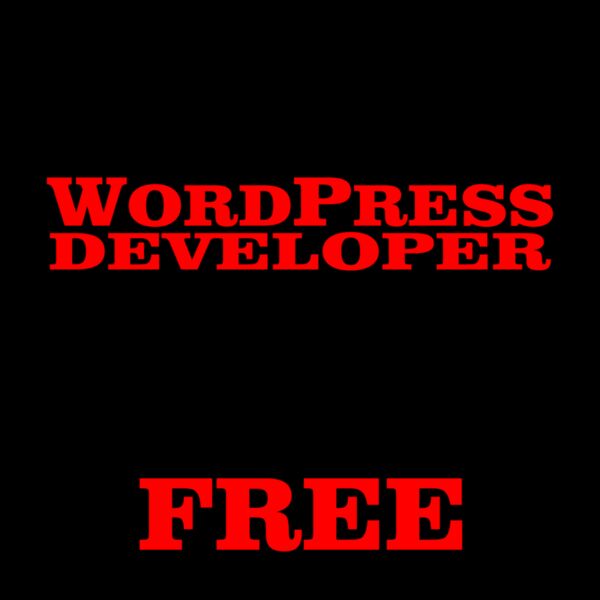 09 wordpress copy Thumbnail