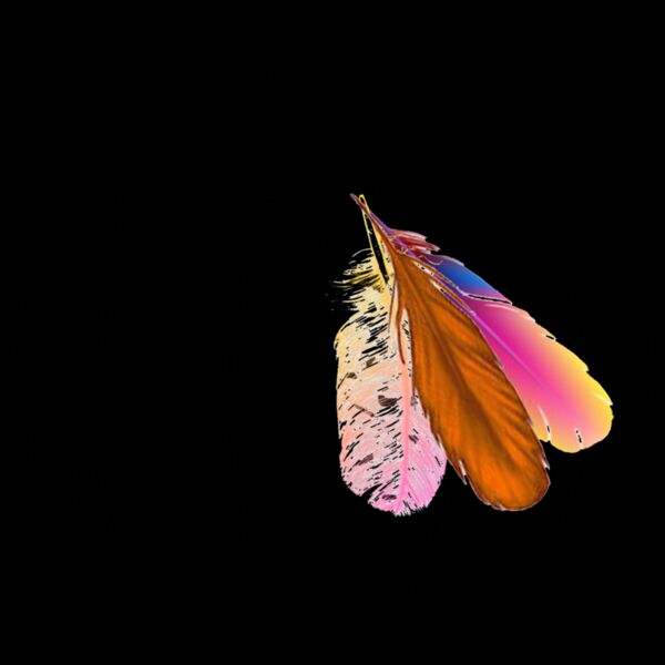 Boho Pumpkin Fleece Hoodie Thumbnail