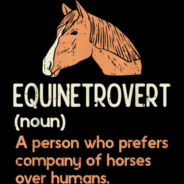 Horse Lover Gifts  Funny Meme Saying Horse Definition T Shirt Thumbnail