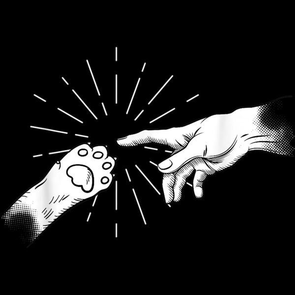 Creation of Cat   Funny Cat Lover Gift T Shirt Thumbnail