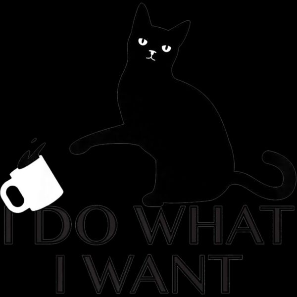 Funny Cat Personality shirt I Do What I Want Premium T Shirt Thumbnail