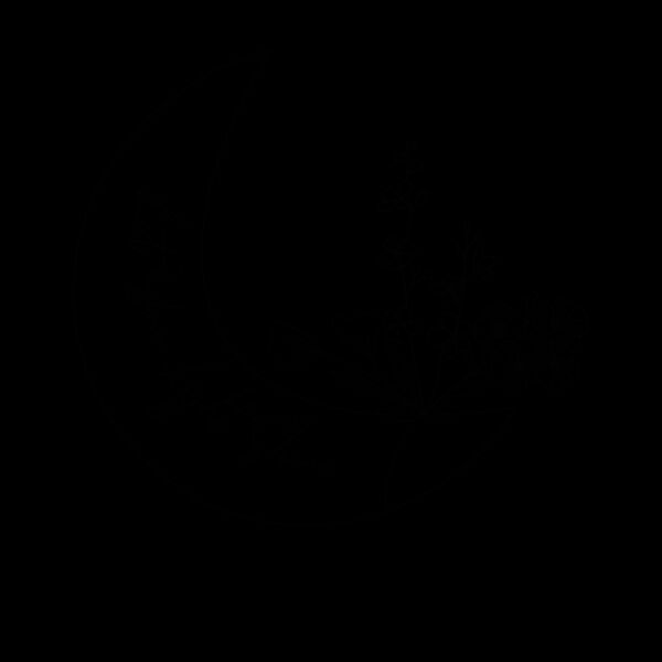 let your light shine  moon BLACK Thumbnail