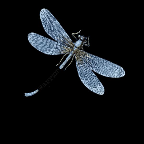 Warrior Dragonfly Thumbnail