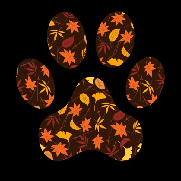 FALL PAW Thumbnail