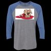 Unisex Triblend Three-Quarter Raglan T-Shirt Thumbnail