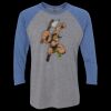 Unisex Triblend Three-Quarter Raglan T-Shirt Thumbnail