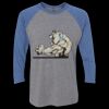 Unisex Triblend Three-Quarter Raglan T-Shirt Thumbnail