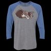 Unisex Triblend Three-Quarter Raglan T-Shirt Thumbnail