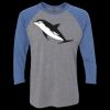 Unisex Triblend Three-Quarter Raglan T-Shirt Thumbnail