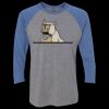 Unisex Triblend Three-Quarter Raglan T-Shirt Thumbnail