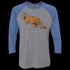 Unisex Triblend Three-Quarter Raglan T-Shirt Thumbnail
