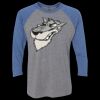 Unisex Triblend Three-Quarter Raglan T-Shirt Thumbnail