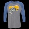 Unisex Triblend Three-Quarter Raglan T-Shirt Thumbnail