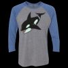 Unisex Triblend Three-Quarter Raglan T-Shirt Thumbnail