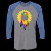 Unisex Triblend Three-Quarter Raglan T-Shirt Thumbnail