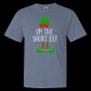 Comfort Colors Garment-Dyed Heavyweight T-Shirt Thumbnail